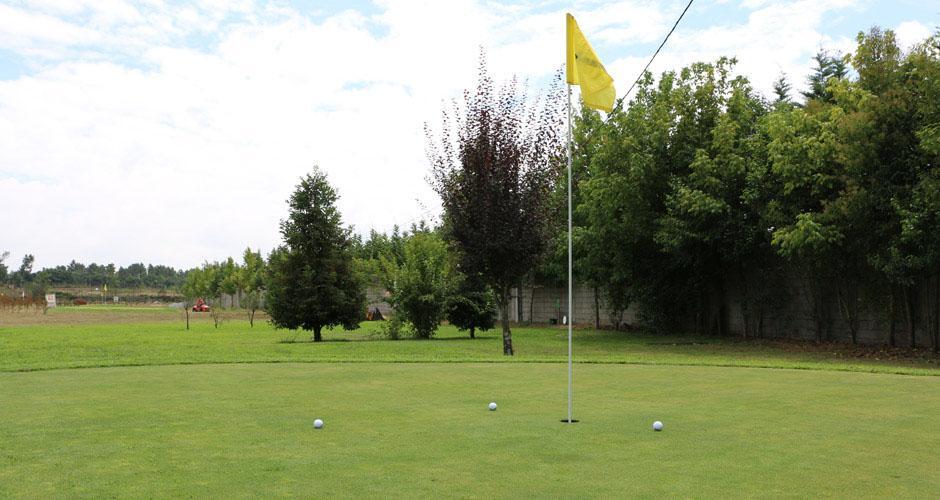 Imagem da Ta�a Match-Play CGB P&P - 2 Mar�o