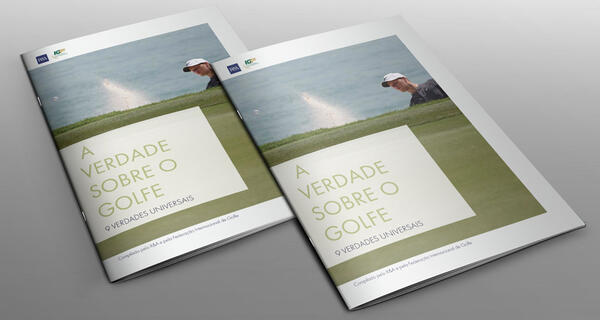 A VERDADE SOBRE O GOLFE