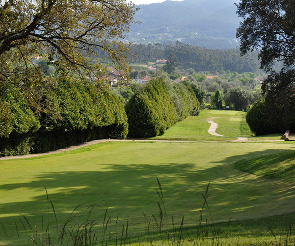 Imagem da Ta�a dos Presidentes 2022