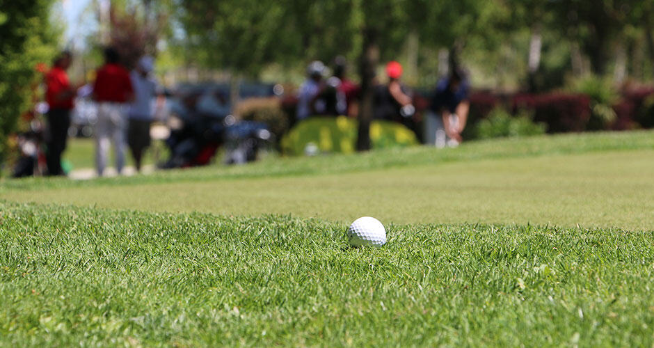 Imagem da Liga Nacional de Pitch & Putt  Zona A