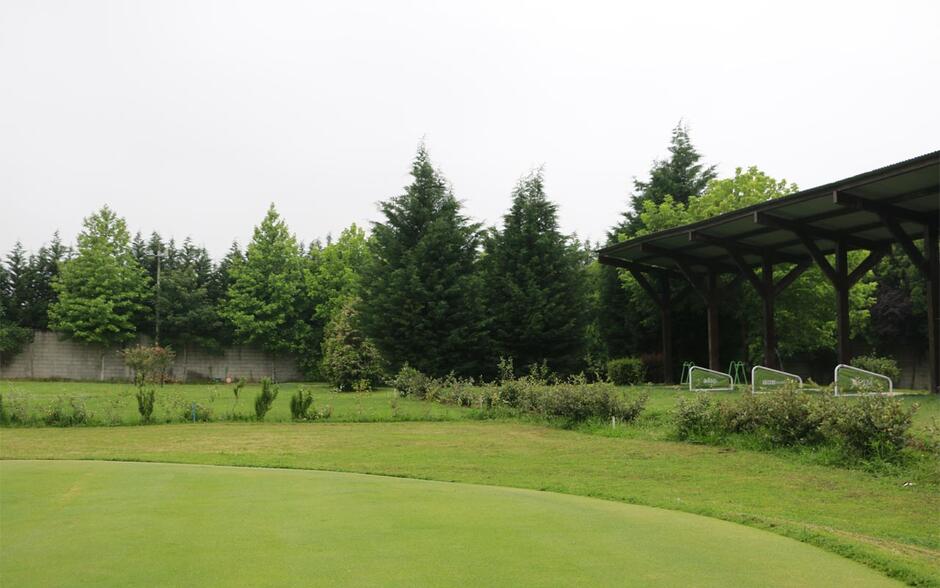 Imagem da IV OM GOLFE P&P THINGS  – 30 JUNHO