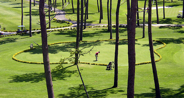 IV Torneio O.M. CGB | Meis